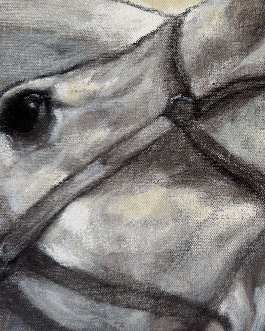 Equi-et-Humanitas / Eivar Moya