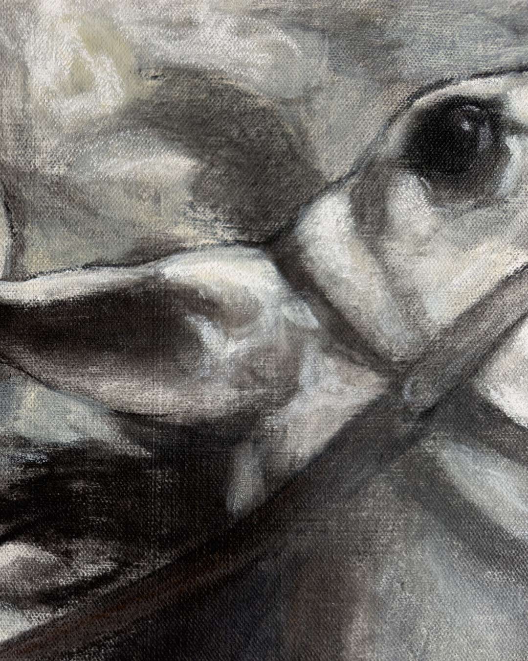 Equi-et-Humanitas / Eivar Moya