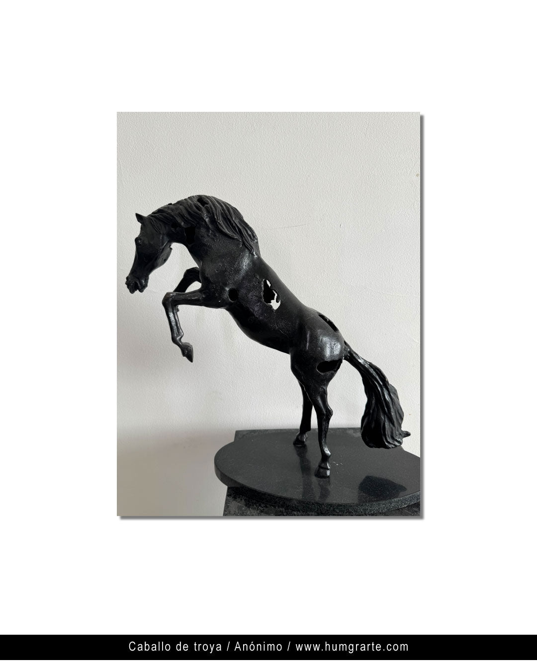 Caballo de Troya / Anónimo