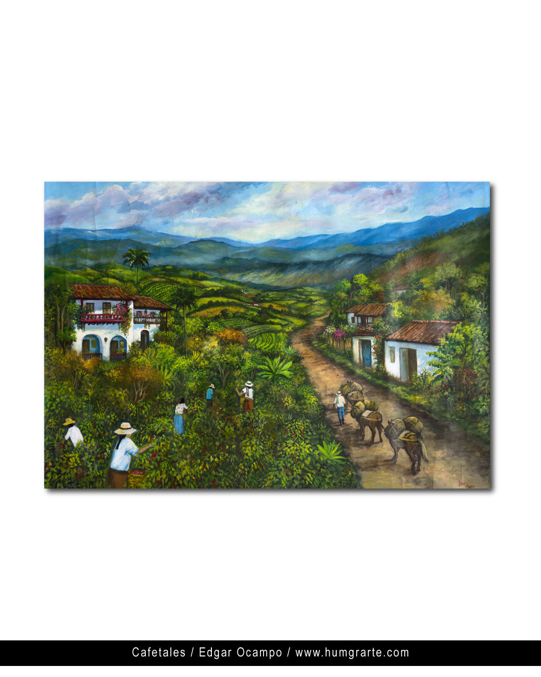 Cafetales / Edgar Ocampo