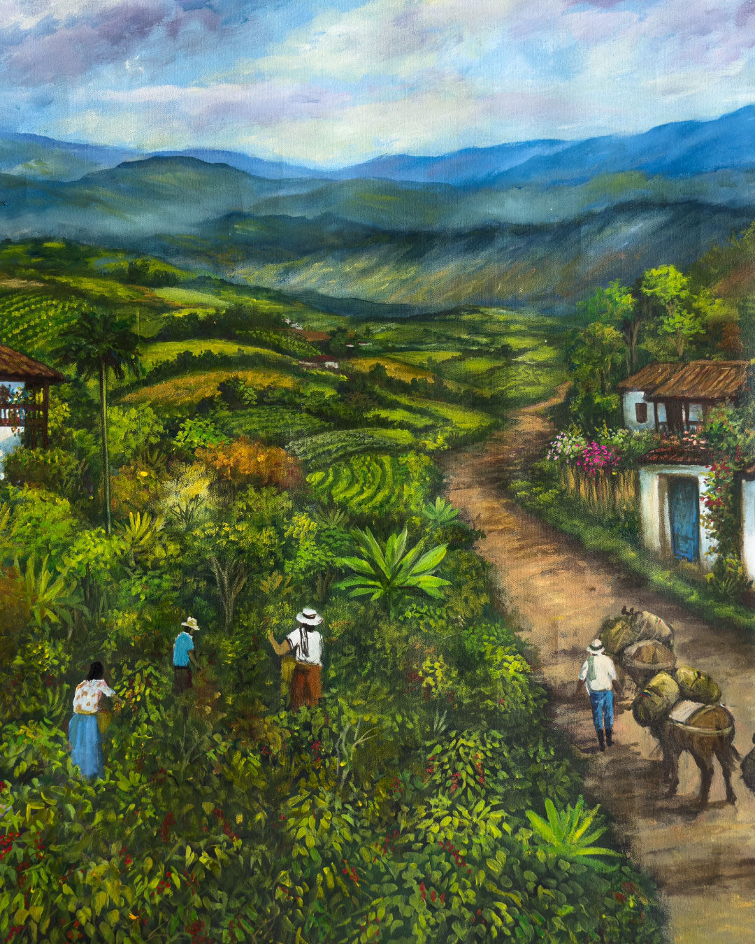 Cafetales / Edgar Ocampo