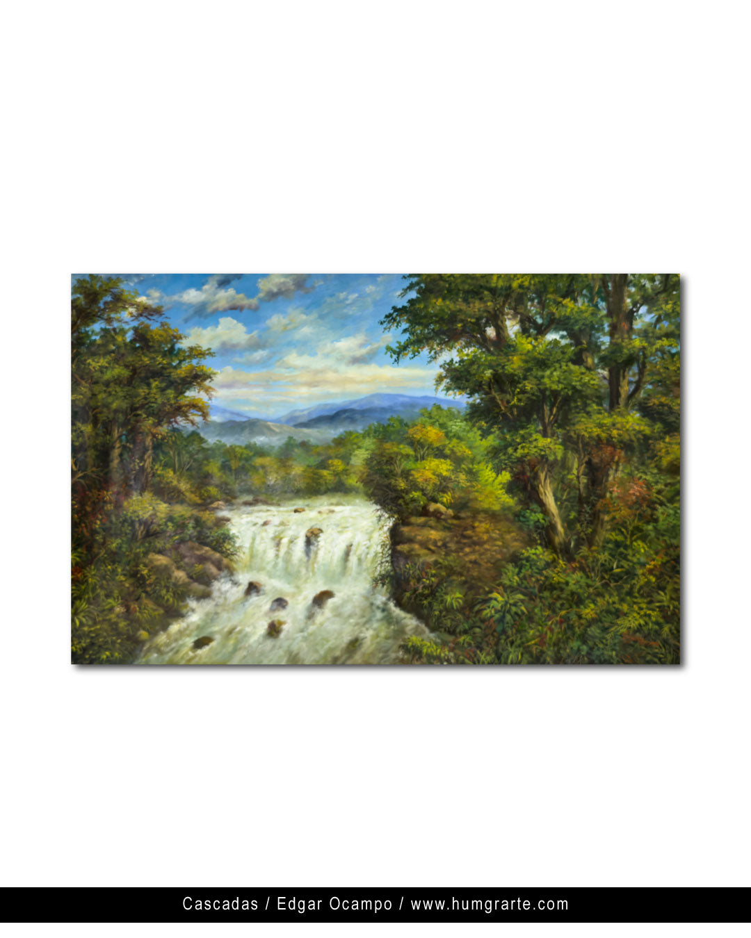 Cascadas / Edgar Ocampo