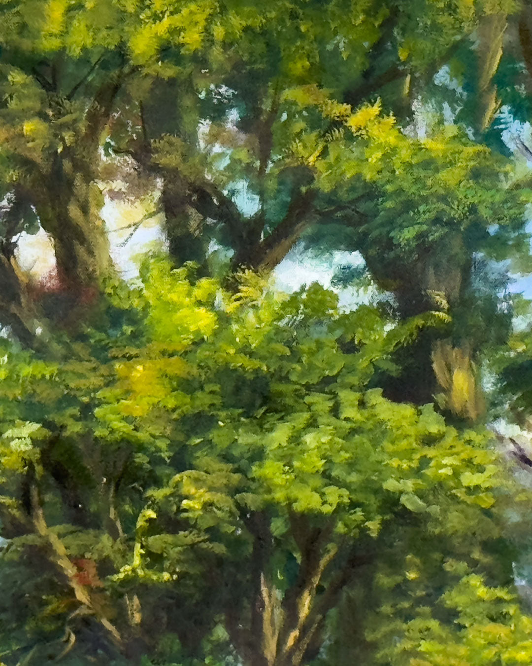 Cascadas / Edgar Ocampo