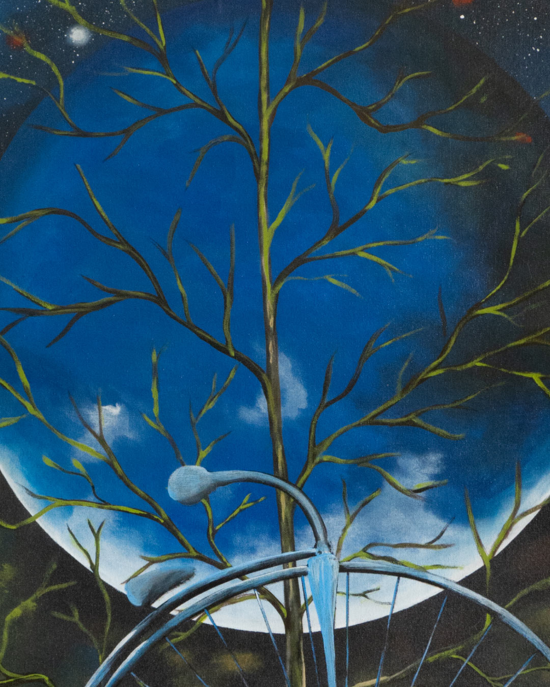 Drasiana Under the Moon / Juan Carlos Jaramillo