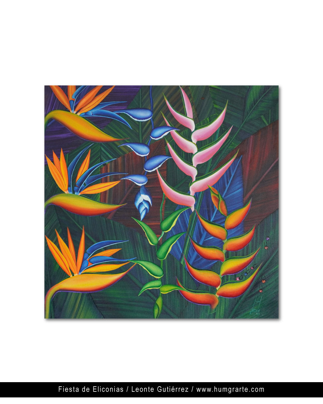 Fiesta de Eliconias / Leonte Gutiérrez