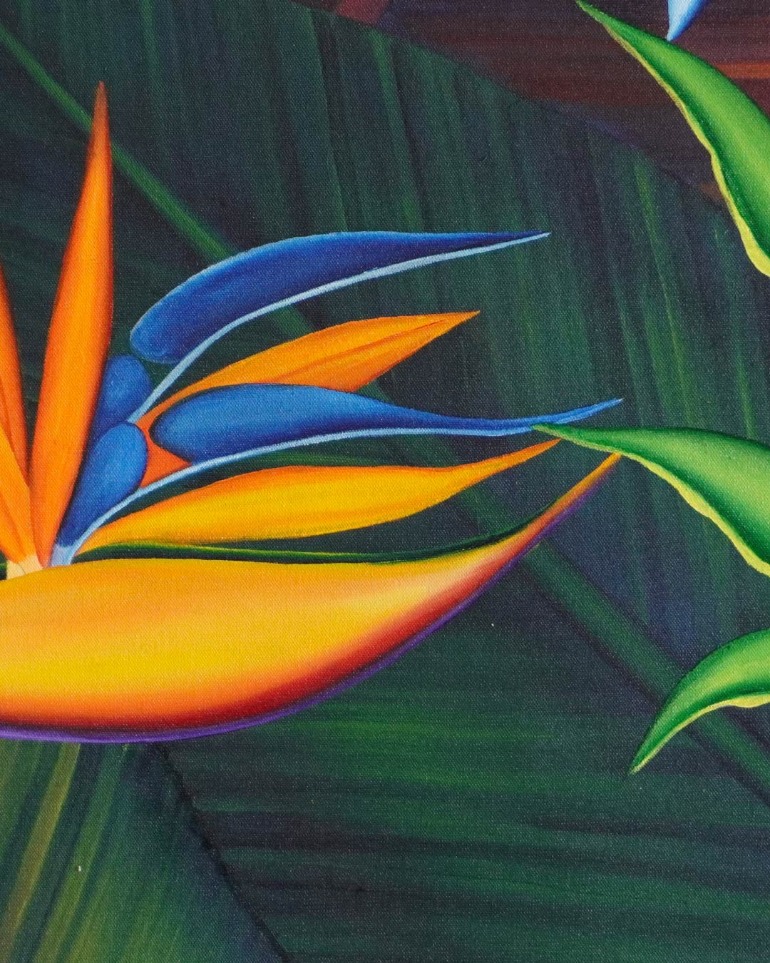 Fiesta de Eliconias / Leonte Gutiérrez