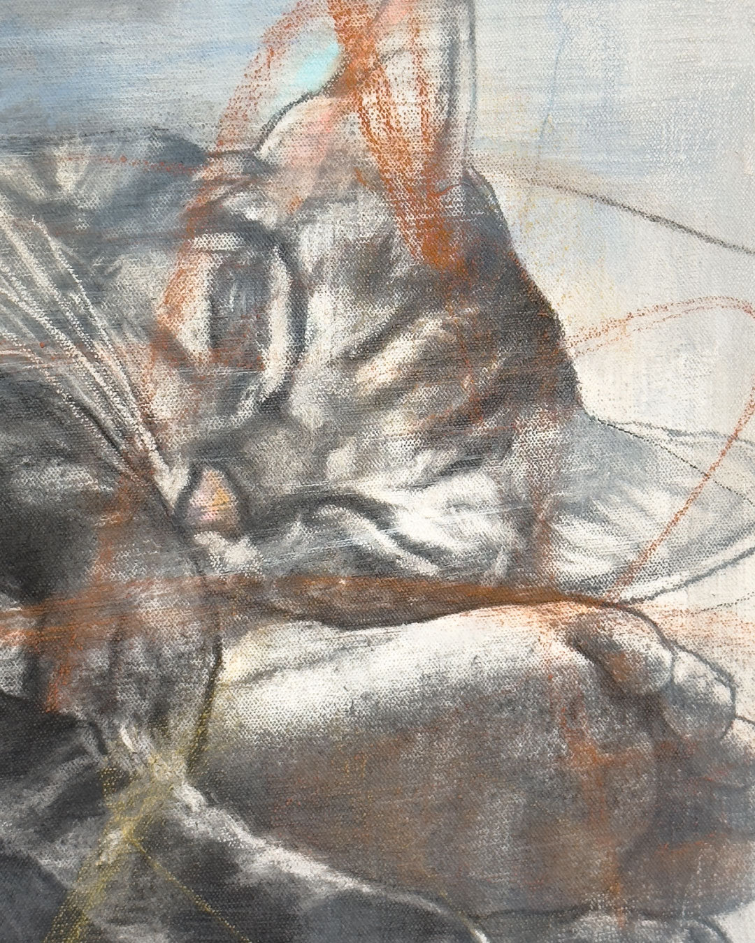 Eivar Moya / Juego de Gatos