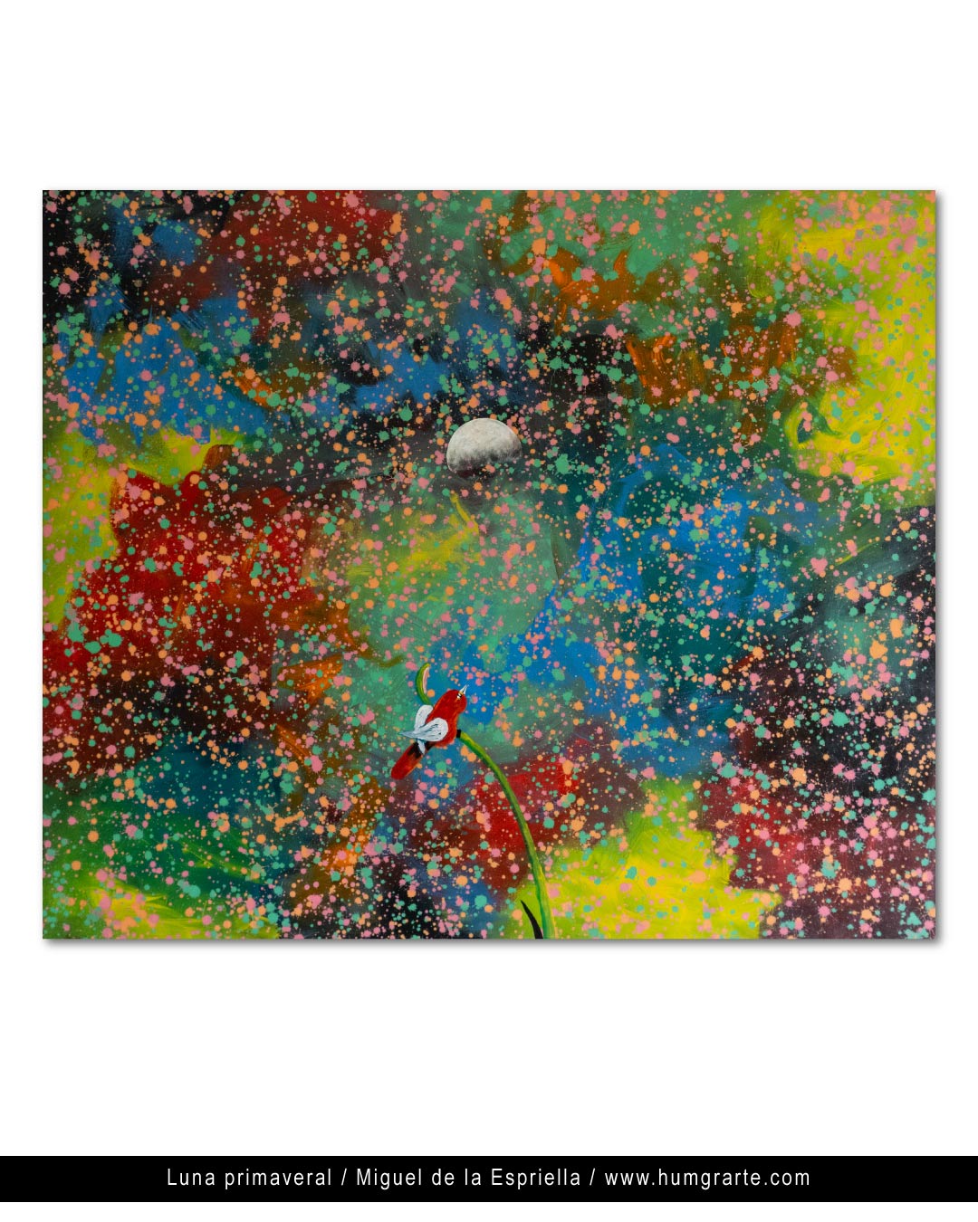 Spring Moon / Miguél de la Espriella (Noble)