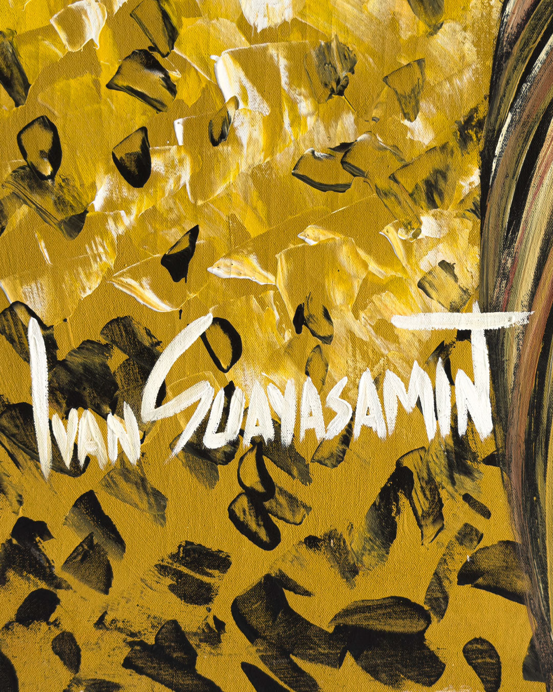 Reflejos / Ivan Guayasamin