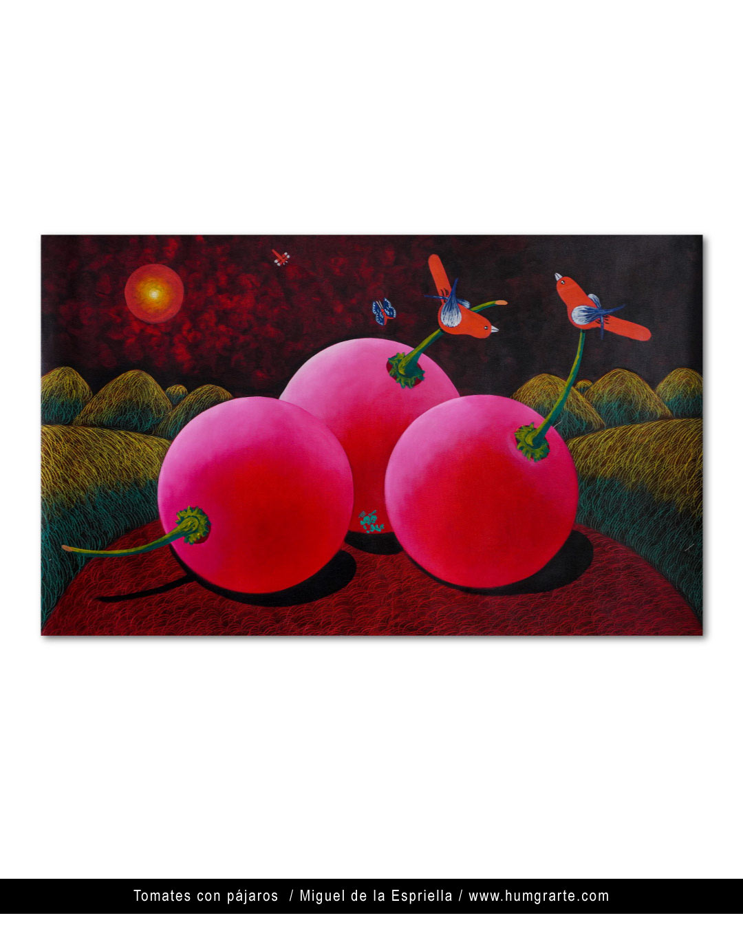 Tomates con pájaros / Miguel de la Espriella (Noble)