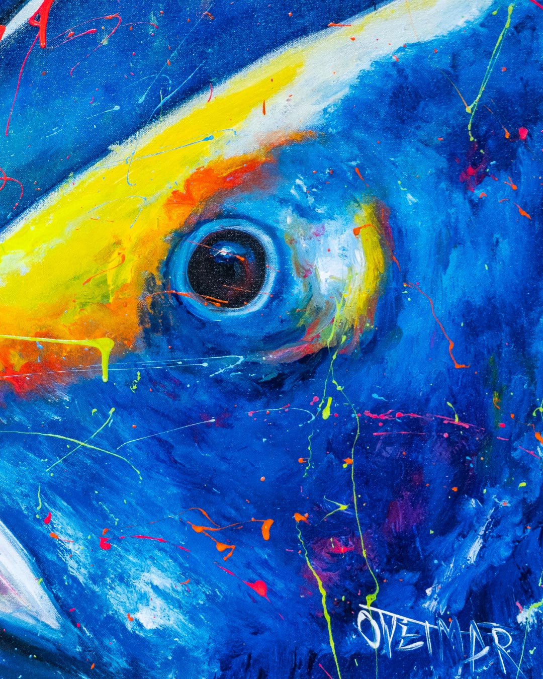 Peces en el Río / Oveimar Viáfara