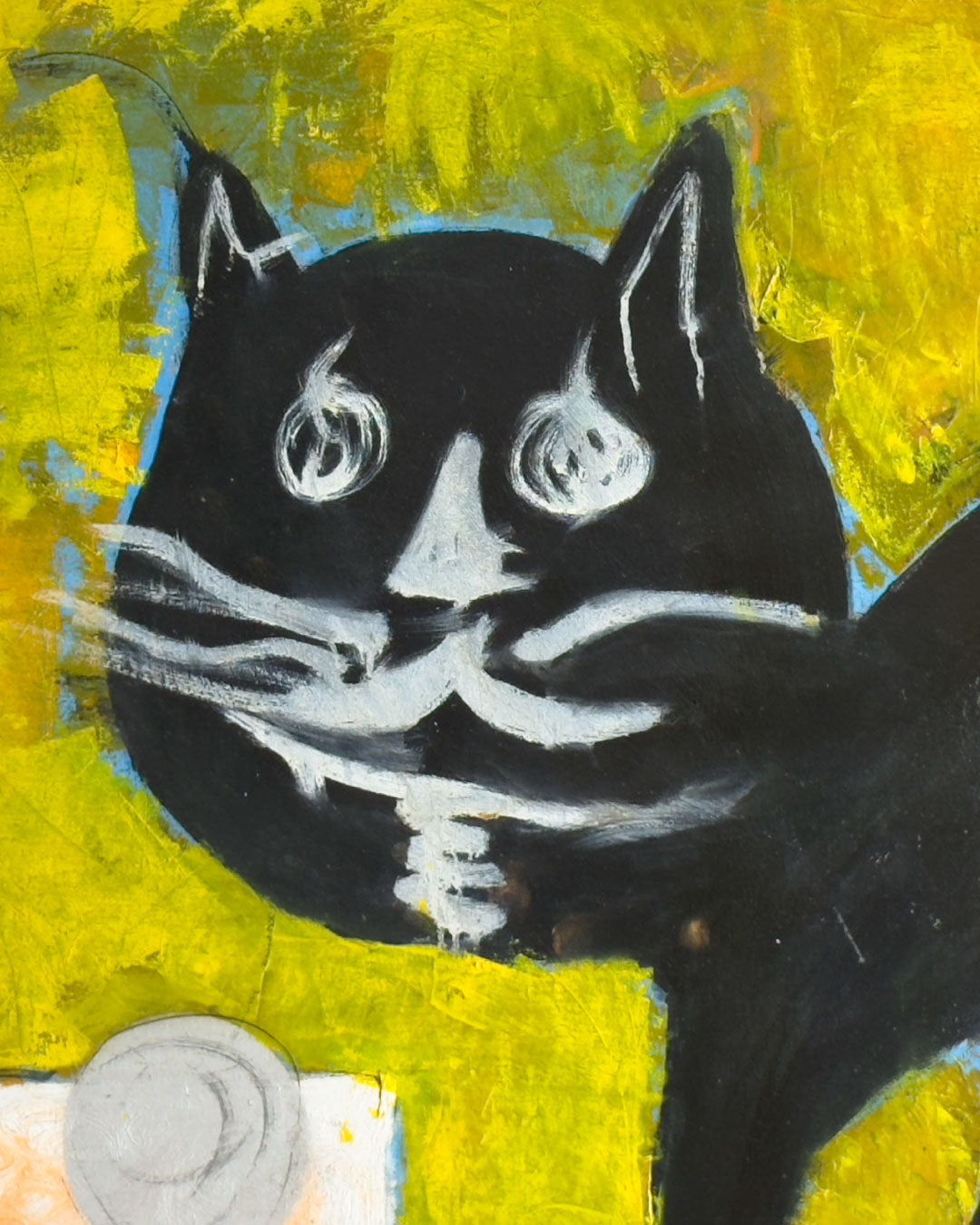 Gato Empinado / Edwin Verano