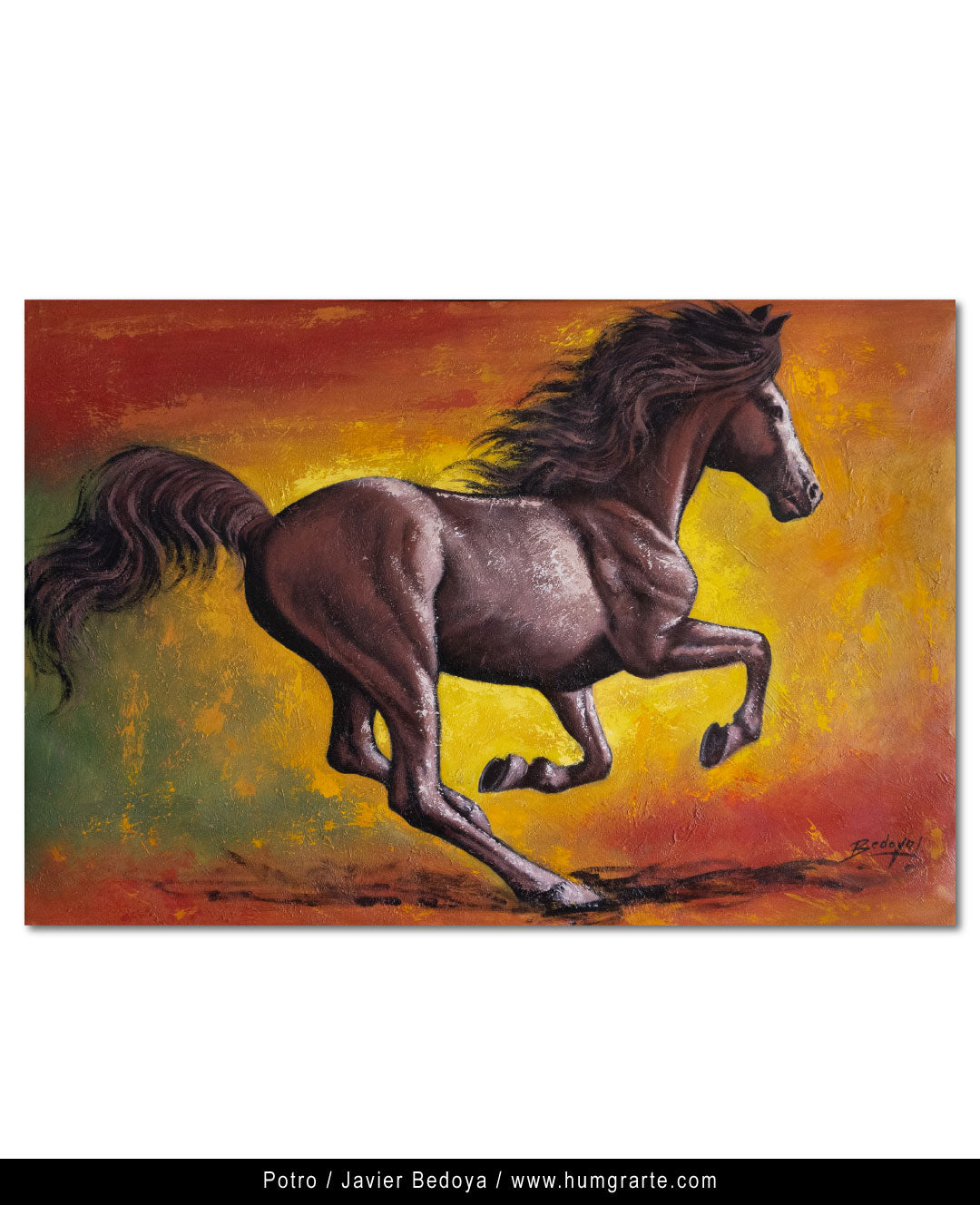 Foal / Javier Bedoya