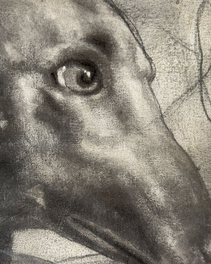 Amistad real / Eivar Moya