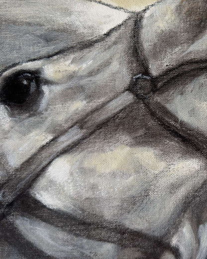 Equi-et-Humanitas / Eivar Moya