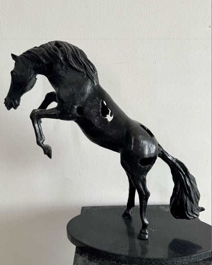 Caballo de Troya / Anónimo