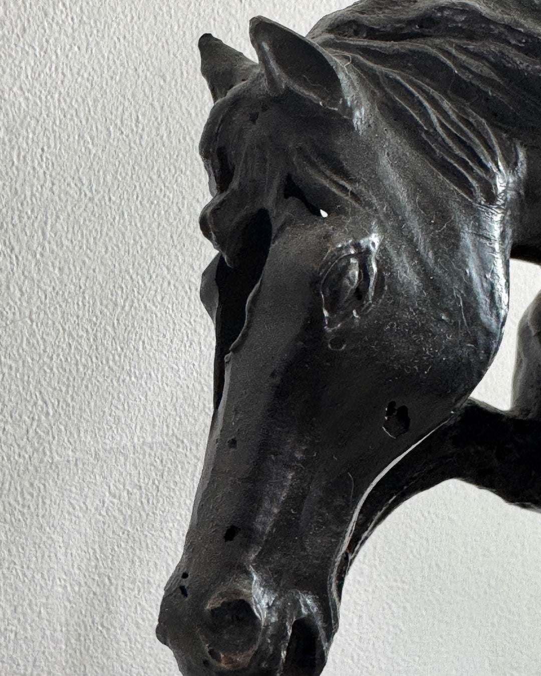 Caballo de Troya / Anónimo
