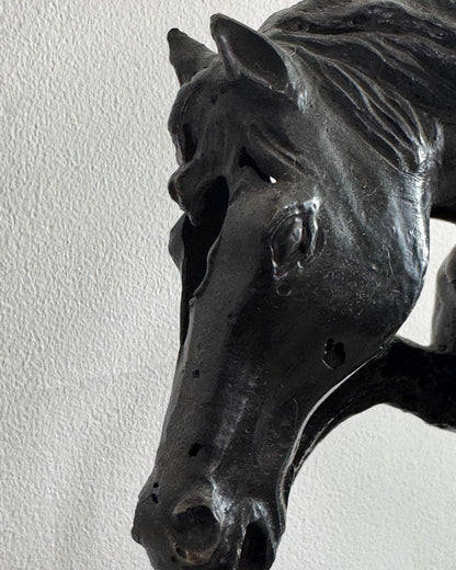 Caballo de Troya / Anónimo