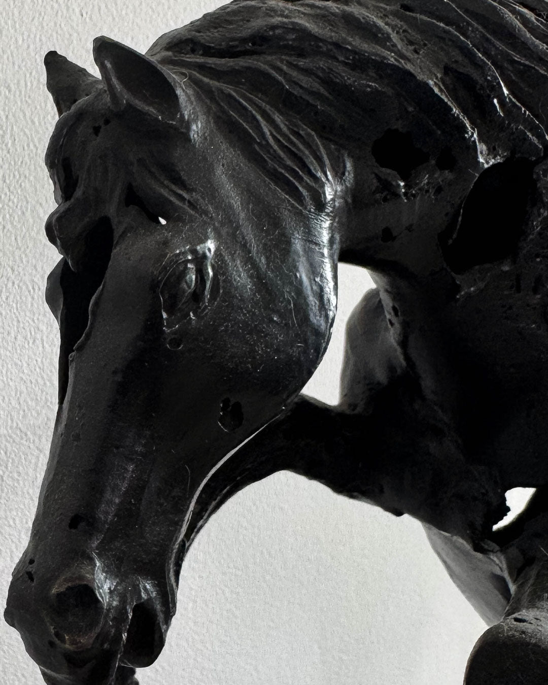 Caballo de Troya / Anónimo