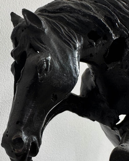Caballo de Troya / Anónimo